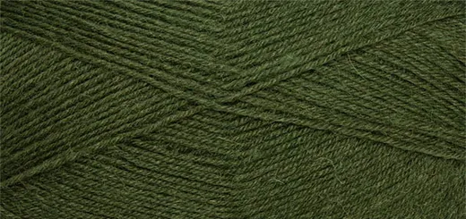 Linie   3 Supersocke 100 moosgrün
