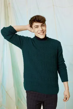 Herrenpullover aus MERINO 120