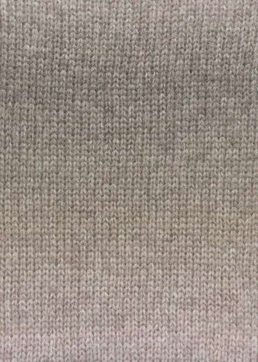 Carina camel