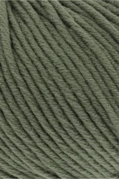Merino+