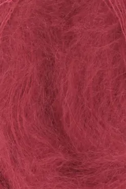 Lace rot