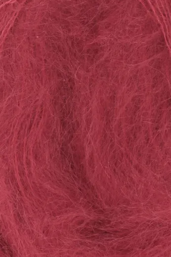 Lace rot