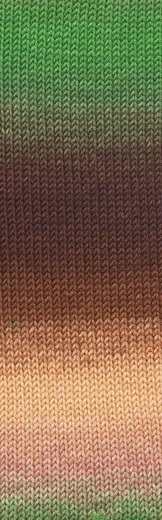 Merino 150 Dégradé