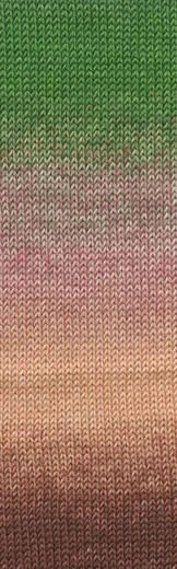 Merino 150 Dégradé