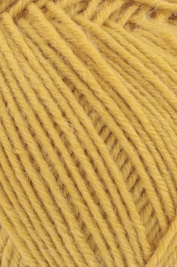 Super Soxx 6-Fach/6-Ply marigold