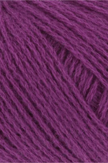 Cashmere Premium