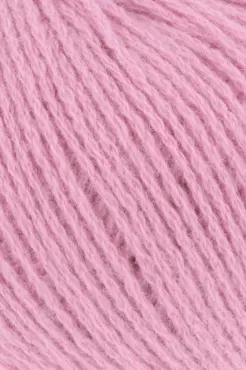 Cashmere Premium