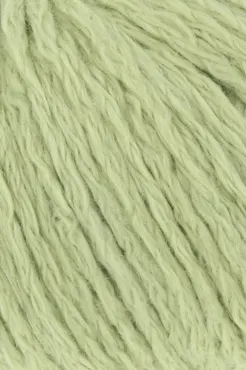 Amira