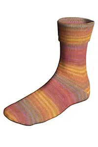 Super Soxx Color 6-Fach/Ply